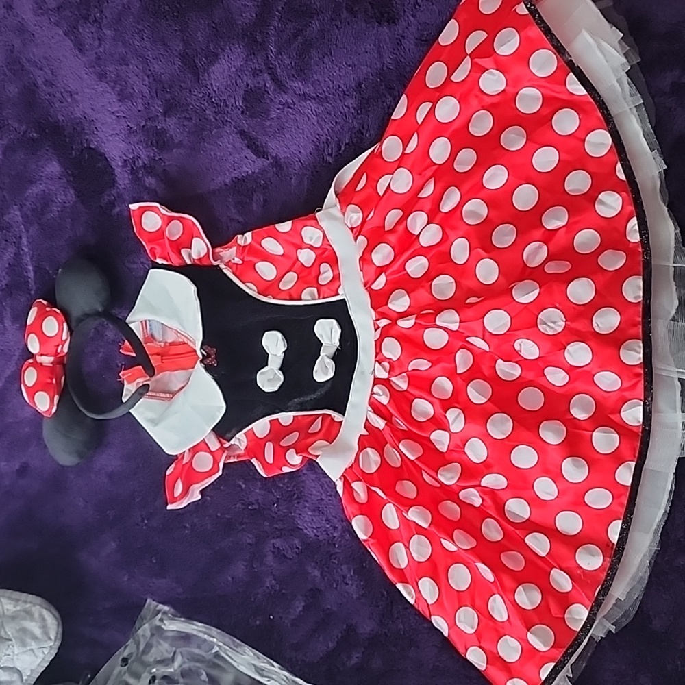 Minnie costume